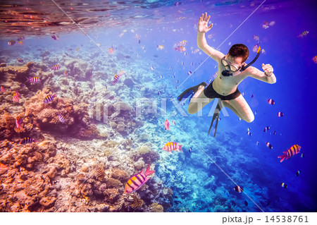 Snorkeler Maldives Indian Ocean coral reef. 14538761