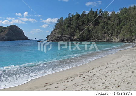 小笠原諸島父島のコペペ海岸 14538875