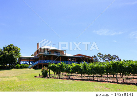 スワンバレーにあるワイナリーの一つ 14539141