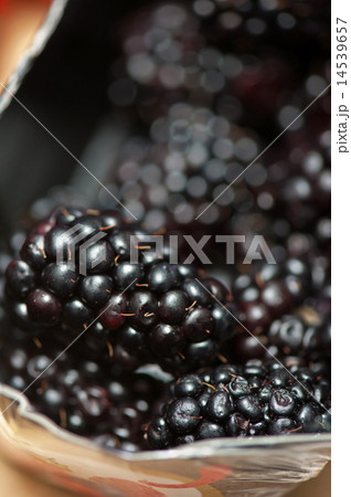 Fresh ripe blackberries Fresh ripe blackberries 14539657