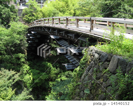 猿橋(日本三奇橋) 猿橋(日本三奇橋) 14540152