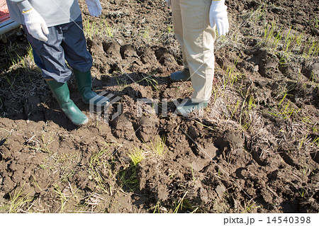 farm farm 14540398