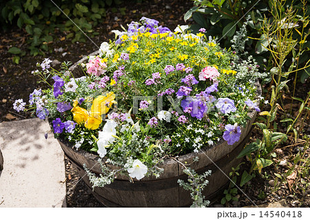 公園ＨＡLＬ　ＰＬＡＣＥ 14540418