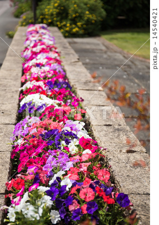 公園HALL PLACE 公園HALL PLACE 14540421