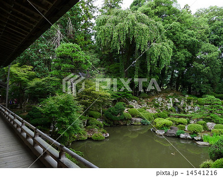 日本庭園(恵林寺) 14541216