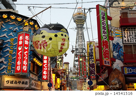 新世界 新世界 14541516