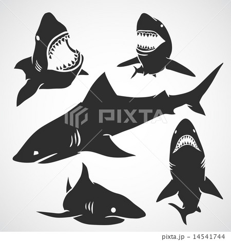 Set of Sharks Set of Sharks 14541744