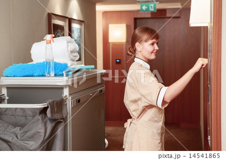 Maid trolley in the hall 14541865