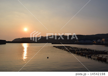 朝陽 朝陽 14542198