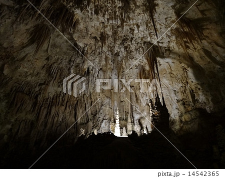カールズバッド洞窟群国立公園 14542365