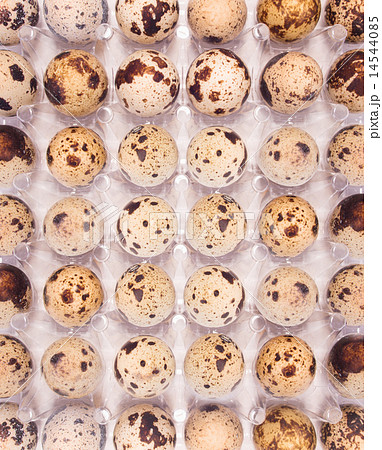 Quail eggs in a box 14544085