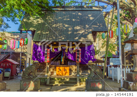 夏祭りが行われている神明神社の拝殿 14544191