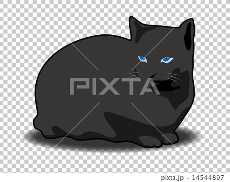 黑貓藍寶石 14544897
