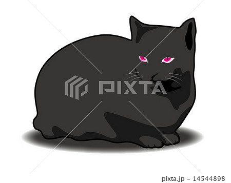 黒猫ルビーのイラスト素材