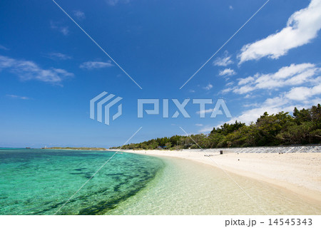 沖縄のビーチ・備瀬の浜 14545343
