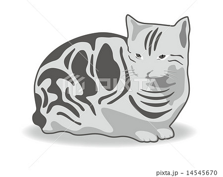 アメリカンショートヘアー アメリカンショートヘアー 14545670