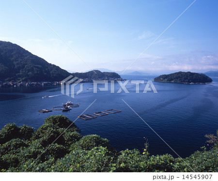 伊根の舟屋群（伊根浦)の朝景色/「国指定重要伝統的建造物群保存地区」 14545907