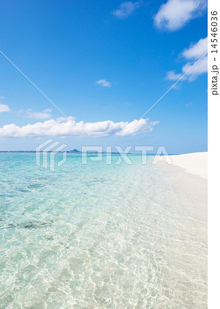 沖縄のビーチ 14546036