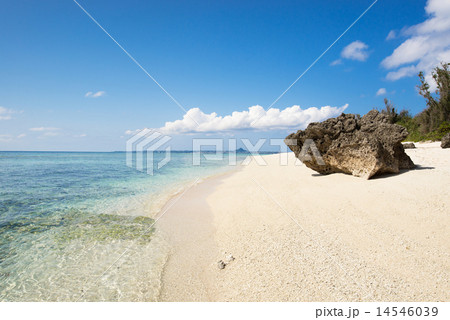 沖縄のビーチ・瀬底ビーチ 14546039