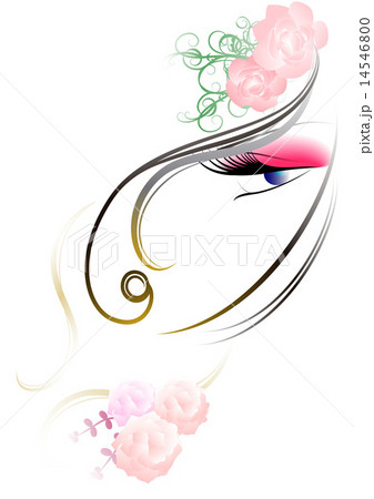 フェイス 女性の顔 フェイス 女性の顔 14546800