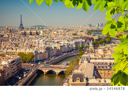 Aerial view of Paris Aerial view of Paris 14546878