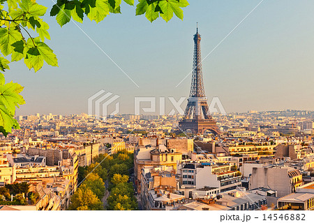 View on Eiffel tower at sunset 14546882