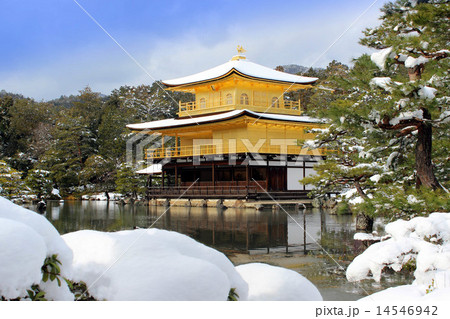 雪の金閣寺 雪の金閣寺 14546942