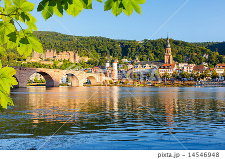 Bridge in Heidelberg Bridge in Heidelberg 14546948