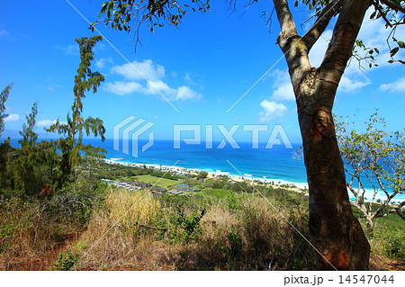 オアフ島ノースショア　サンセットビーチを望む 14547044