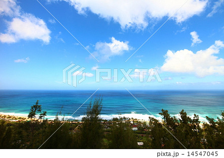 オアフ島ノースショアのエフカイ・ピルボックスからの眺め 14547045