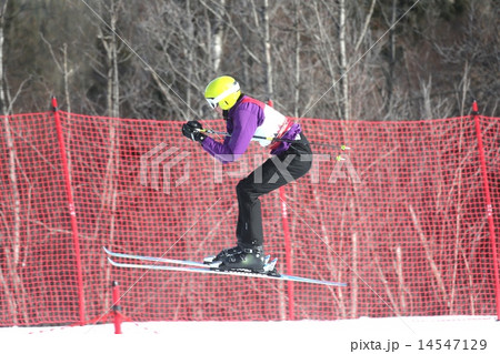 スキークロスーSki Cross 14547129