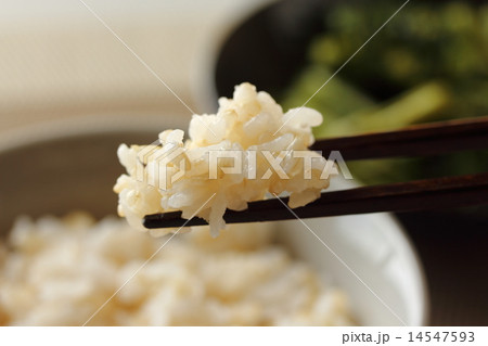 発芽玄米 発芽玄米 14547593