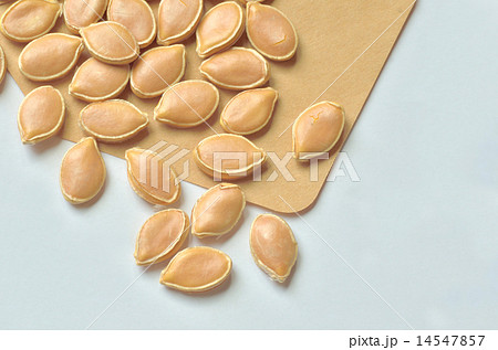 かぼちゃの種 14547857