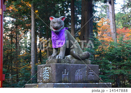 随身門そばの「ヤマイヌの石像(吽形像)」（三峯神社／埼玉県秩父市三峰） 14547888