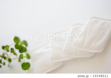 並んだコットン 並んだコットン 14548011