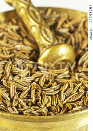 Caraway Caraway 14548267