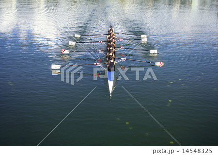 Coxed octosyllable 14548325