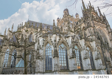 Cathedral in  Dutch city of Den Bosch. Netherlands 14548765