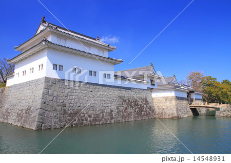 3月静岡 駿府城・巽櫓と東御門 3月静岡 駿府城・巽櫓と東御門 14548931