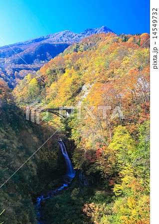 紅葉の妙高不動滝3 紅葉の妙高不動滝3 14549732
