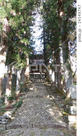 龍澤寺 14549747