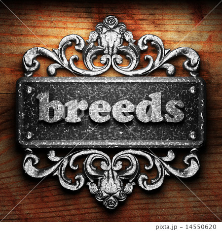 breeds word of iron on wooden background breeds word of iron on wooden background 14550620