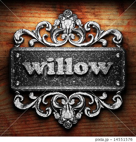 willow word of iron on wooden background 14551576