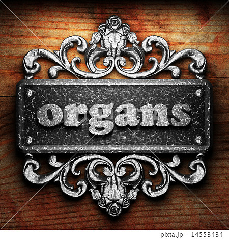 organs word of iron on wooden background organs word of iron on wooden background 14553434