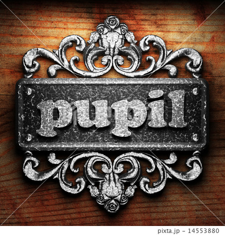 pupil word of iron on wooden background 14553880