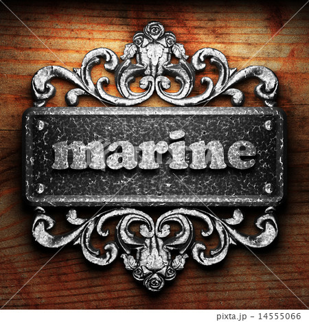 marine word of iron on wooden background 14555066