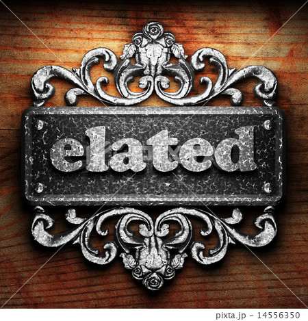 elated word of iron on wooden background 14556350