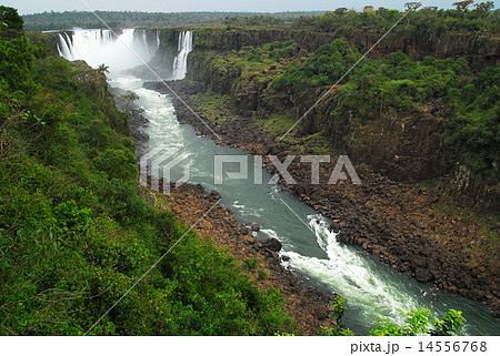 ブラジル　大渇水のイグアスの滝　ブラジル側 14556768