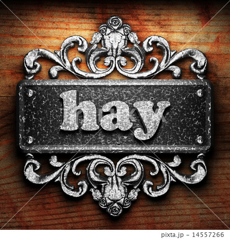 hay word of iron on wooden background 14557266