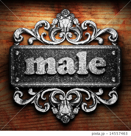 male word of iron on wooden background male word of iron on wooden background 14557463
